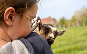 Yourte dans une ferme pédagogique