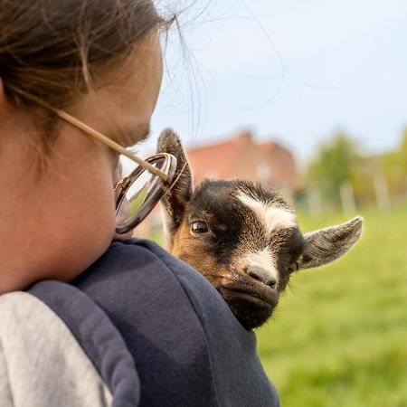 Yourte dans une ferme pédagogique Farbus Extérieur photo