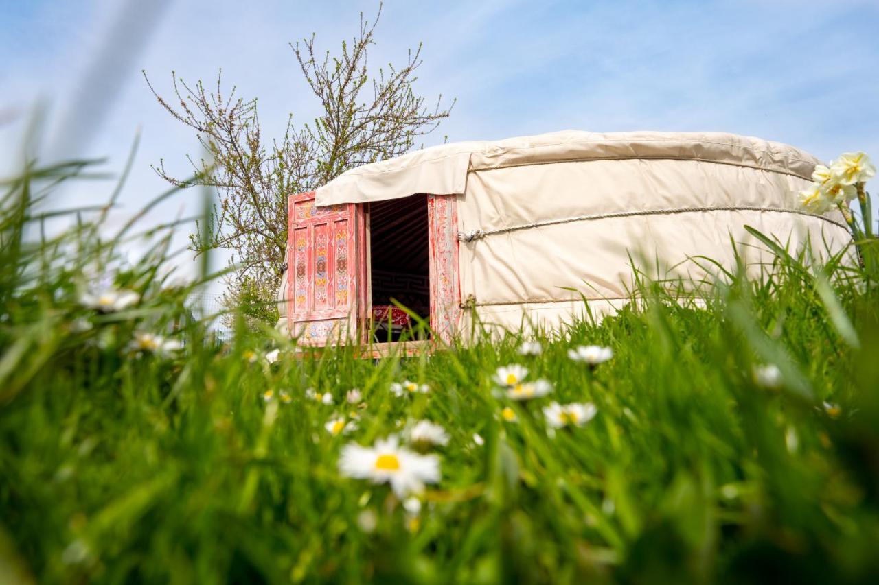 Yourte dans une ferme pédagogique Farbus Extérieur photo