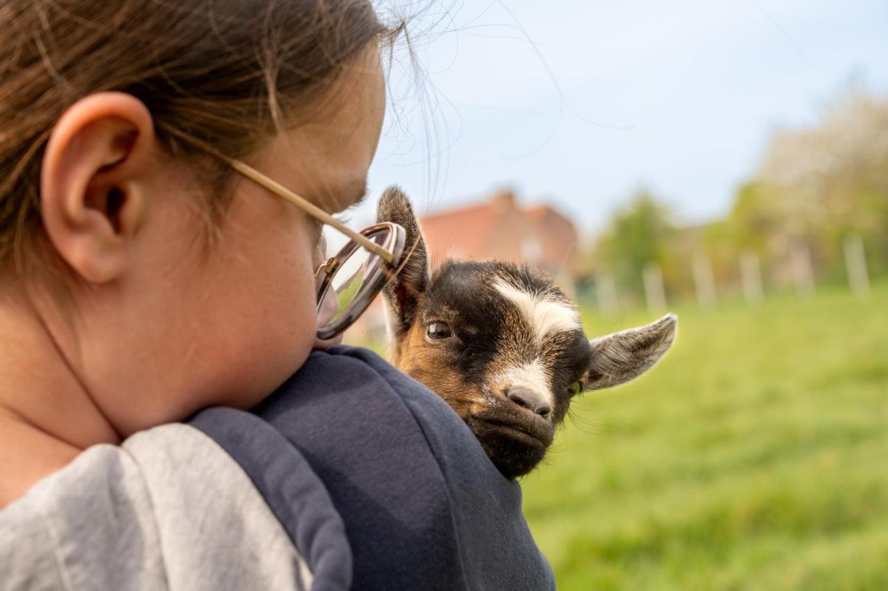 Yourte dans une ferme pédagogique Farbus Extérieur photo