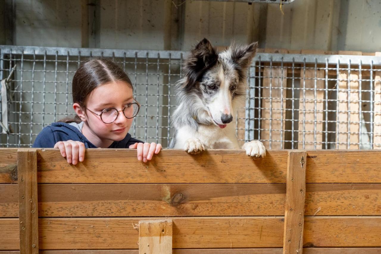 Yourte dans une ferme pédagogique Farbus Extérieur photo